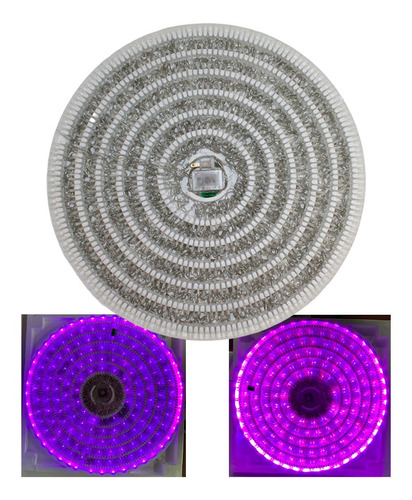 Serie Navideña De 700 Focos Led Color Morado Con Rosa