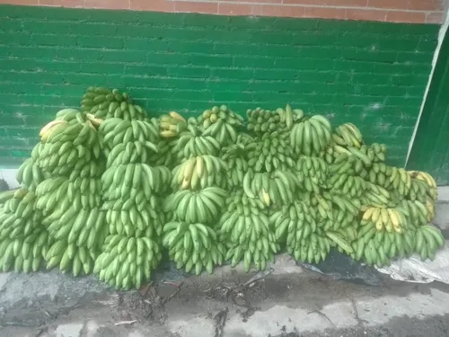 Venta De Finca Agropecuaria En La Martinica, Ibagué