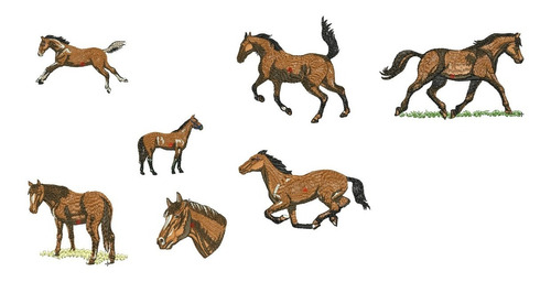  Diseño Matrices Bordar Maquinas Bordadoras Caballo Completo