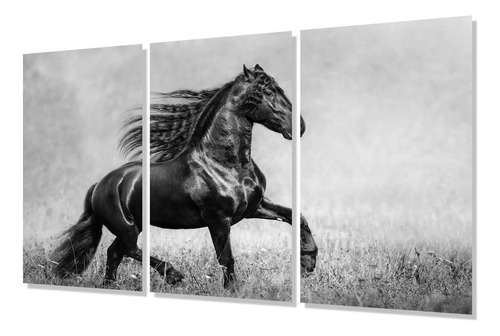 Cuadro Trip 60x90 Caballo Foto Blanco Negro Pradera