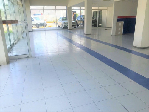 Renta Local Comercial En Buenavista