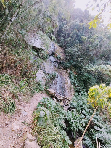 Imagem 14 de 19 de Terreno Escriturado À Venda Em Piracaia/sp - 1000 - 34968879