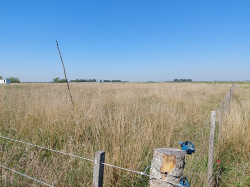 Vendo Lote Grande En Un Pueblito Rural, Saladillo