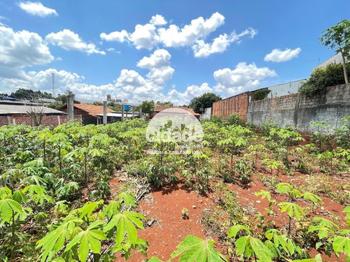 Imagem 2 de 5 de Terreno À Venda, Santa Felicidade - Cascavel/pr - 13322