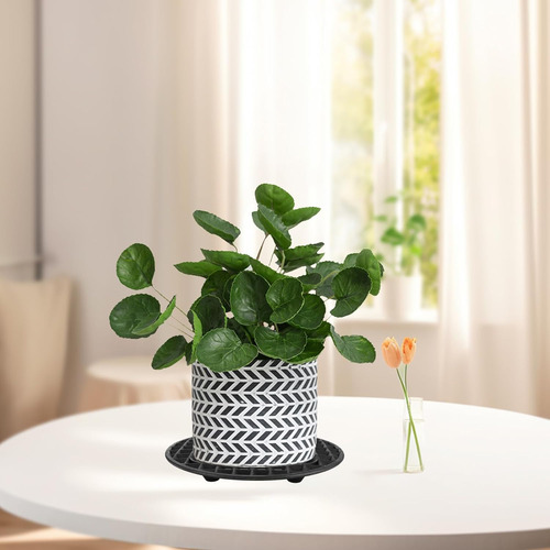 24 Elevadores De Macetas De Nivel De Planta De 8 Pulgadas Co