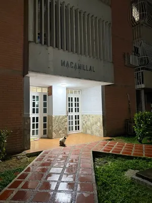 Apartamento en alquiler