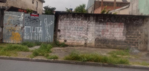 Imagem 1 de 1 de Terreno Para Venda Em São Paulo, Parque Paulistano - V225_2-1157196