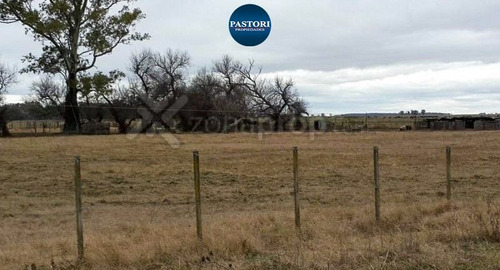 Imagen 5 de 12 de Campo | Las Flores