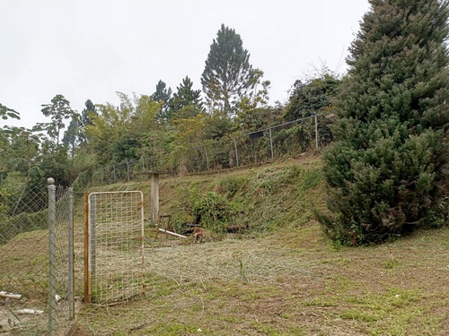 Imagen 8 de 16 de Terrenos En Venta