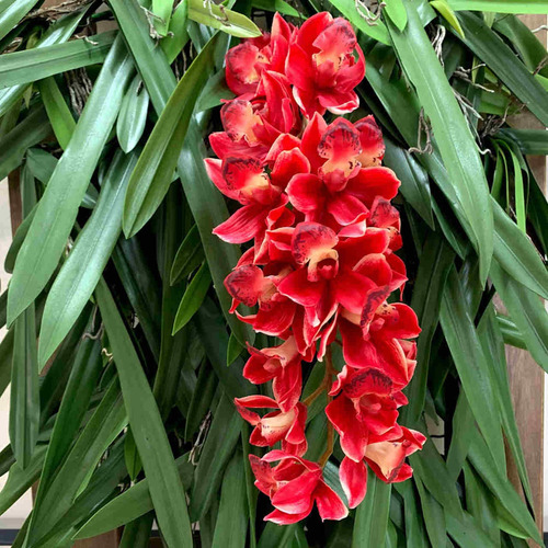 7 Folhas De Orquídea Artificiais Fina E Longa C/ Ótimo Preço | Parcelamento  sem juros