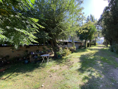 Chacra - Km. 61
