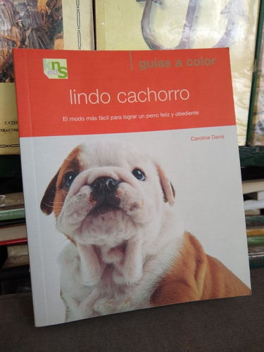 Lindo Cachorro Caroline Davis -rf Libros Guia A Color Perros