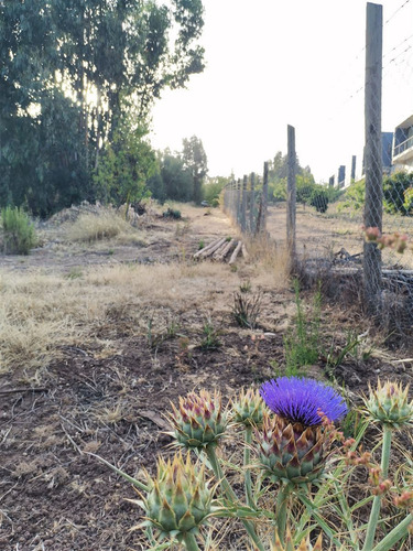 Parcela En Venta En Bosque De Mantagua Concon