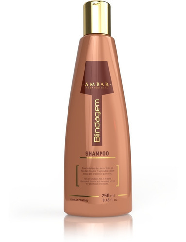 Imagem 2 de 4 de Kit Botox Blindagem Âmbar- 250 Ml