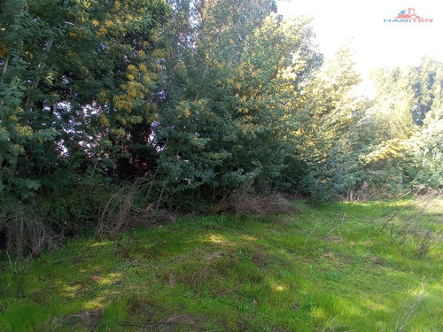 Se Vende Parcela Sector Chacarillas De 5.000 Mt2 En Maule