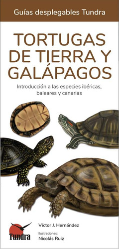 Tortugas De Tierra Y Galapagos Introduccion A Las Especies I