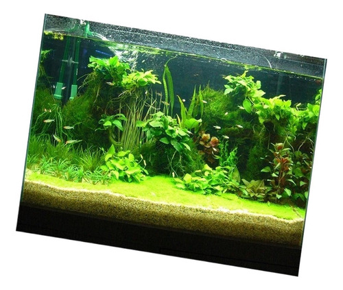 A Cartel De Paisaje De Acuario 122x46cm Tipo C - 122x46cm