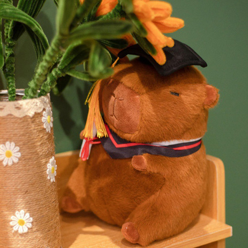 Juguete Capybara Relleno Capybara Graduación Capybara Doll T