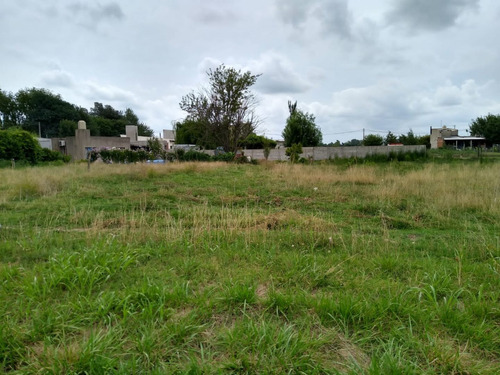 Imagen 2 de 10 de Venta Terreno El Provincial 9 De Julio Bs As Oportunidad