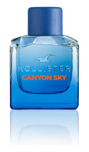 Perfume Hombre Hollister Canyon Sky For Him Edt 100 Ml