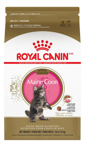 Royal Canin Maine Coon Breed Alimento Seco Gatito 3 Libras