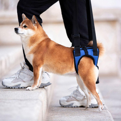 Cinturón Auxiliar Andadera Para Perros, Para Patas