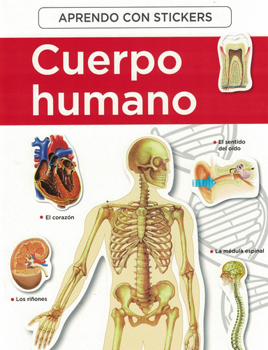 Aprendo Con Stickers-  El Cuerpo Humano Pegatinas