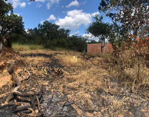 Imagem 2 de 3 de Lote Em Esmeraldas - Te00508 - 70737000