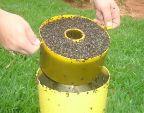 2 Armadilhas + 2 Liquidos Atrativo Para Mosca - Papa Mosca