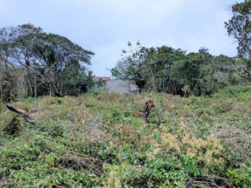 Imagem 3 de 3 de Terreno No Bairro Luizamar Mirim, Em Itanhaém Lote Com 137,5 M² De Área Total.