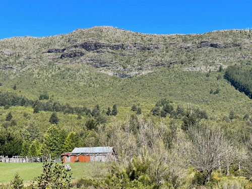 Refugio Llaima: Desde 5000m2 A Orillas Del Río Huichahue