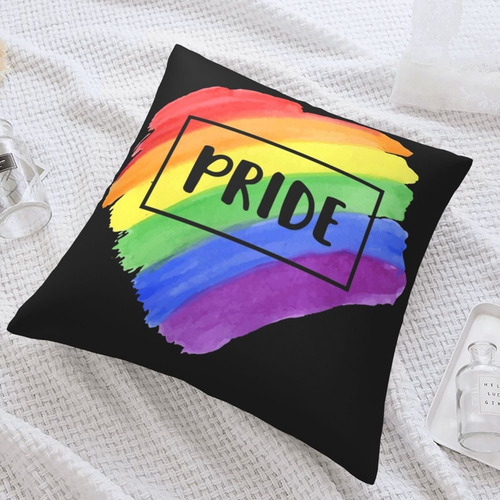 Almohada Orgullo Lgtb Pride En Terciopelo Cojin Con Relleno
