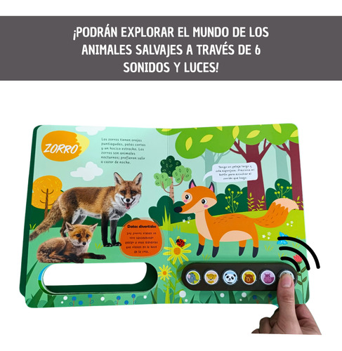 Combo Libros Infantil 6 Luz Sonidos Salvajes Y Dinosaurios