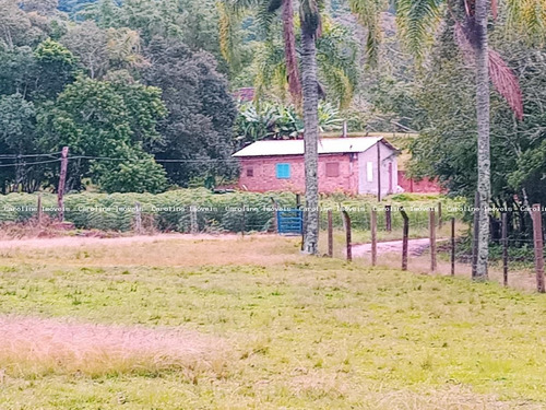 Imagem 3 de 8 de Sítio / Chácara Para Venda Em Mariana Pimentel, Potreiro Grande, 2 Dormitórios, 1 Banheiro - 1271_1-2343484
