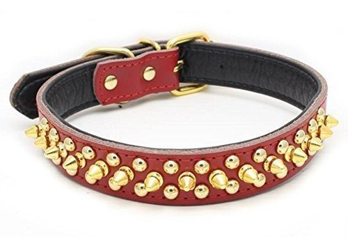 Avenpets Gorgeous Design Genuine Leather Dog Collar 7ym6l