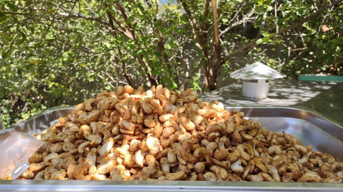 Imagen 7 de 9 de Coco Palen Nuts Frutos Secos Natural Y Confitad