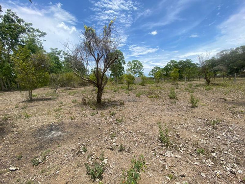 Venta Terreno 818.37 M² Col. Juana Moza Tuxpan Veracruz