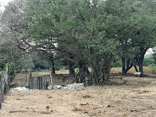 Terreno En Venta En Veracruz Ideal Para Inversión En Mata Cocuite Ver.