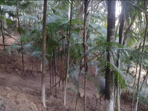 Chácara Em Juquitiba A 50 Min De Sp
