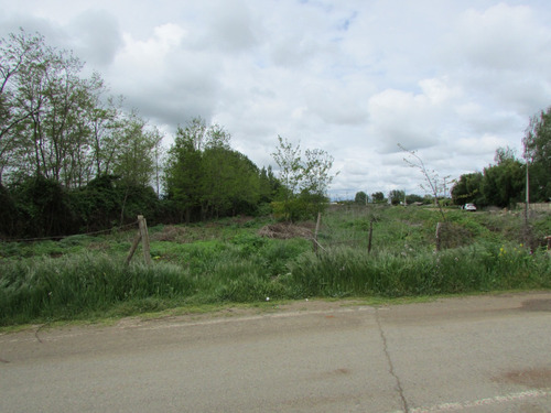 Parral. Inmediato A Cruce Con Ruta 5.
