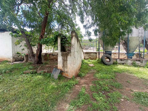 Imagen 2 de 30 de Granja Porcina O Unidad De Producción La Victoria, Aragua.