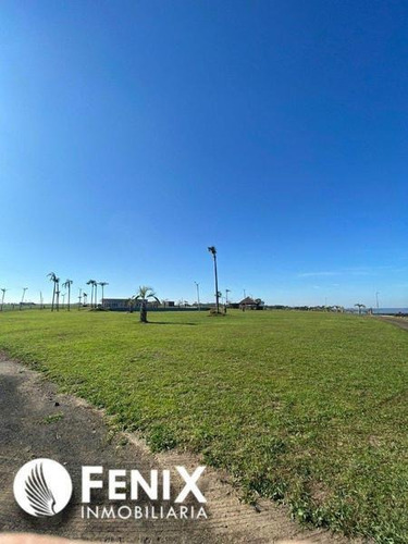 Imagen 7 de 10 de Tf526 - Z/ Puerto Mbiguá-lote En Venta Con Vista Al Río.