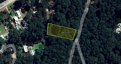 Imagen 1 de 2 de Lote En Club Del Lago, Punta Ballena