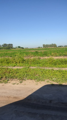 Campo Mixto De 784 Ha En Fernandez, Santiago Del Estero