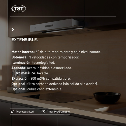 Campana Extractor Extensible De Pared 60cm X 53cm - Tst Color Plateado