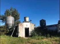 Comprar Jaulas Para 10000 Ponedoras Envios Incluido A Todo El País