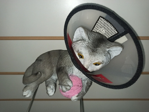 Collar Isabelino Con Velcro - Para Gatos O Perros Mini