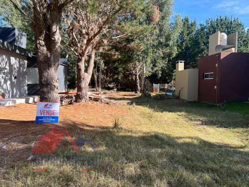 Imagen 5 de 10 de Lote En Venta
