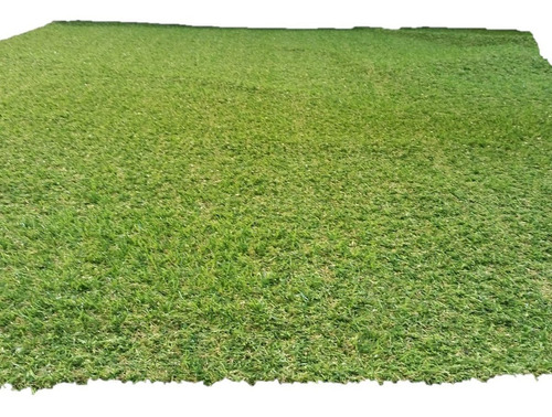Corte Pasto Sintetico 20mm De Altura De 2.0x3.0mts Con Envio