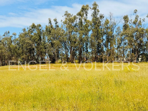 Venta Terreno Industrial Uso Mixto